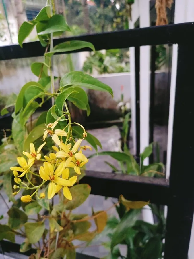 Green View Home Stay Thiruvananthapuram